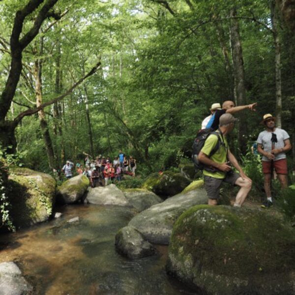 Séjour Rando Douceur & Tousime dans le Cantal